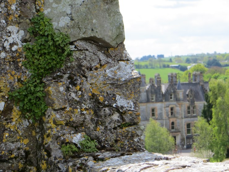 13276631014_5b9e3c31a1_o