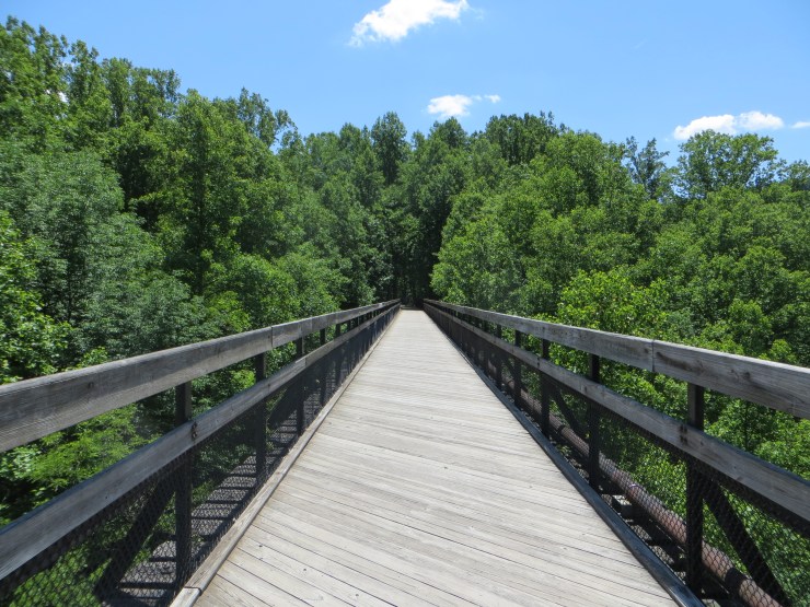 14355781396_00c28ab0cc_o